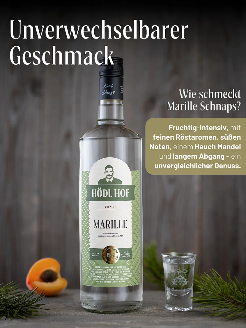 Hödl Hof Marille Schnaps | 38% Vol. | 1,0l
